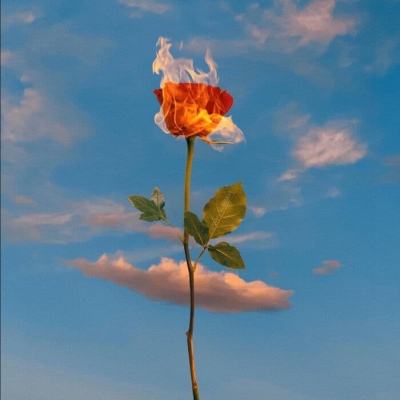 beat365中国在线体育app下载